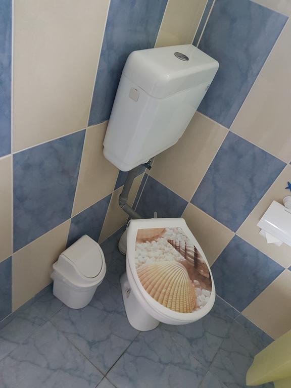 كوستِنيست Pensiunea Casa Johnelly المظهر الخارجي الصورة