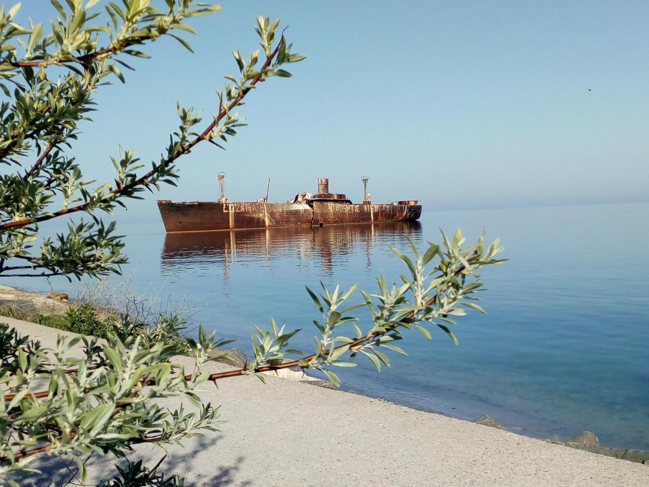 كوستِنيست Pensiunea Casa Johnelly المظهر الخارجي الصورة